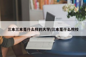 三本三本是什么样的大学/三本是什么院校