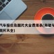 奔驰汽车报价及图片大全费用表(奔驰车费用表和图片大全)