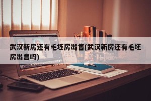 武汉新房还有毛坯房出售(武汉新房还有毛坯房出售吗)