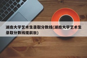 湖南大学艺术生录取分数线(湖南大学艺术生录取分数线提前批)