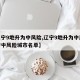 【辽宁9地升为中风险,辽宁9地升为中风险辽宁中风险城市名单】