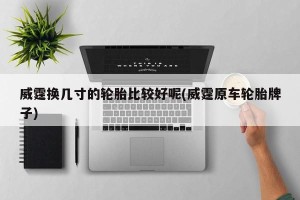威霆换几寸的轮胎比较好呢(威霆原车轮胎牌子)