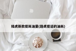 陆虎新款揽耗油量(路虎揽运的油耗)