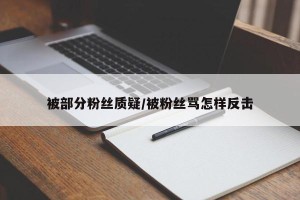 被部分粉丝质疑/被粉丝骂怎样反击