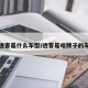 逍客是什么车型/逍客是啥牌子的车