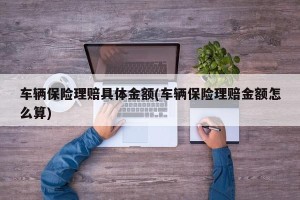 车辆保险理赔具体金额(车辆保险理赔金额怎么算)