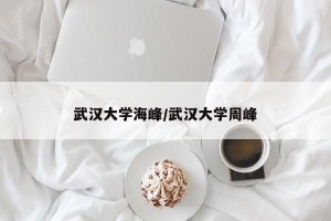 武汉大学海峰/武汉大学周峰