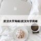 武汉大学海峰/武汉大学周峰