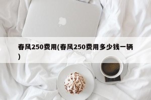 春风250费用(春风250费用多少钱一辆)